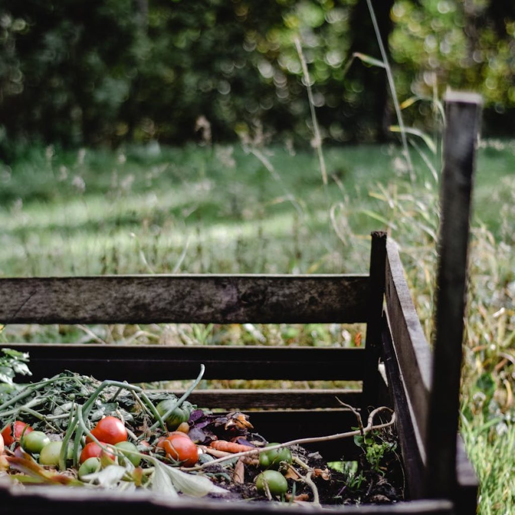 vegetables on the soil