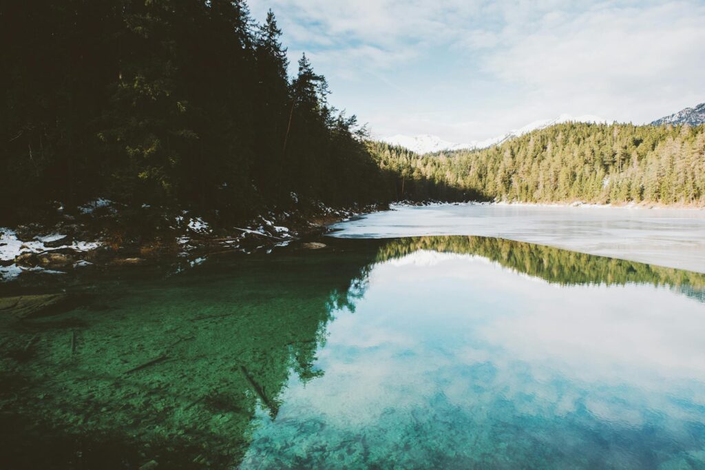 body of water near trees